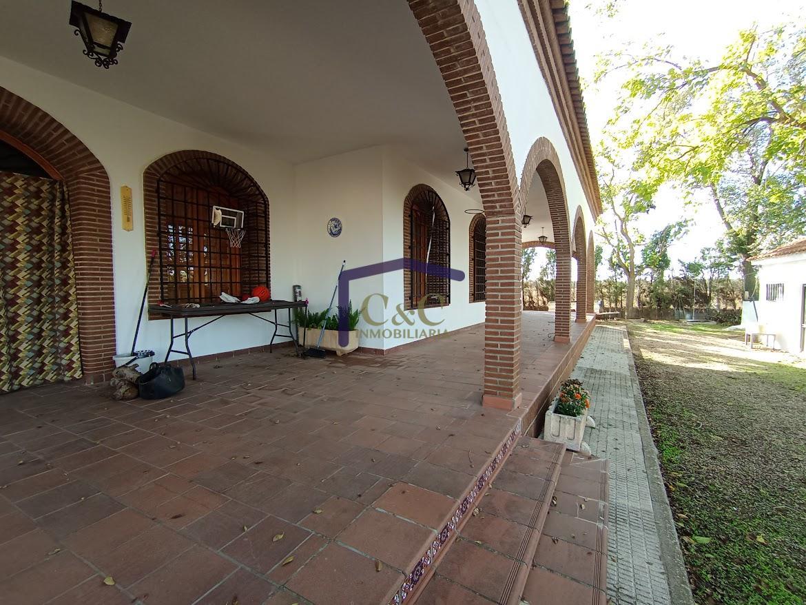 Venta de finca rústica en Manzanares