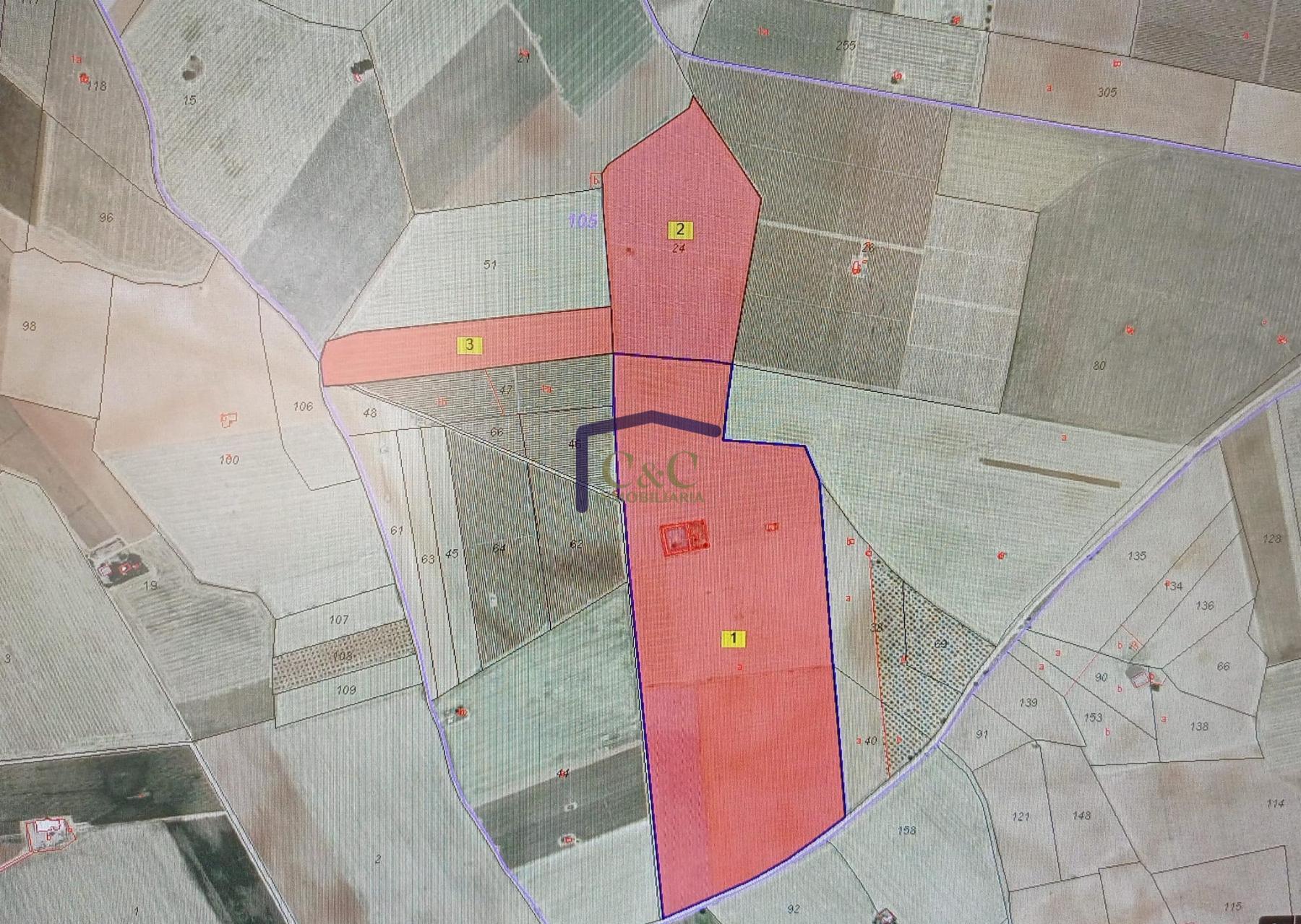 Venta de finca rústica en Daimiel