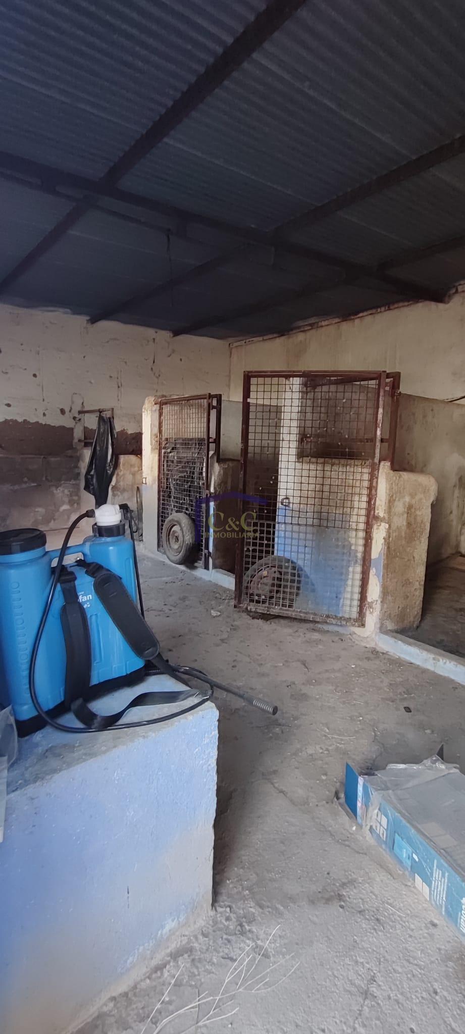 Venta de terreno en Membrilla