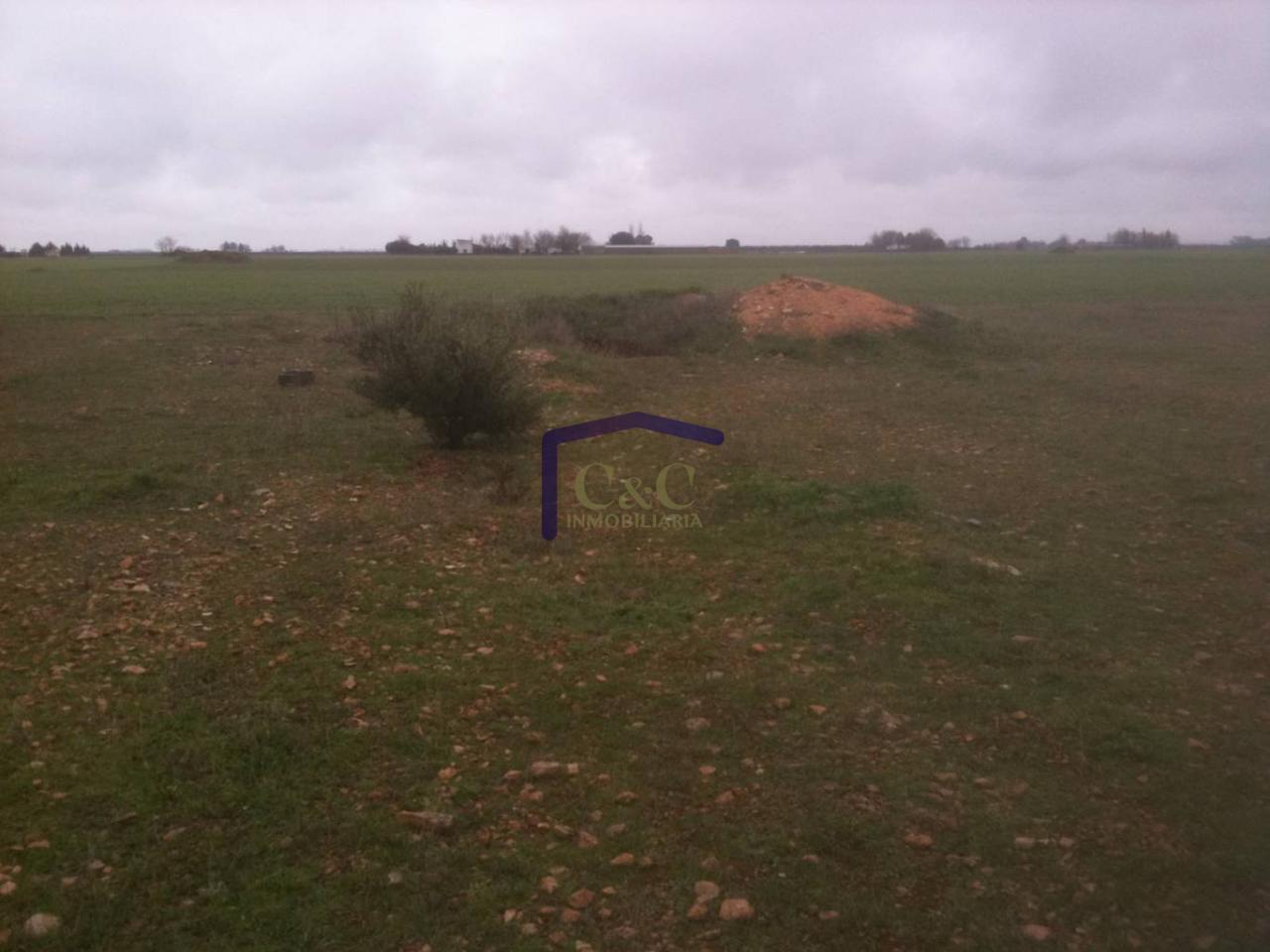 Venta de terreno en Manzanares