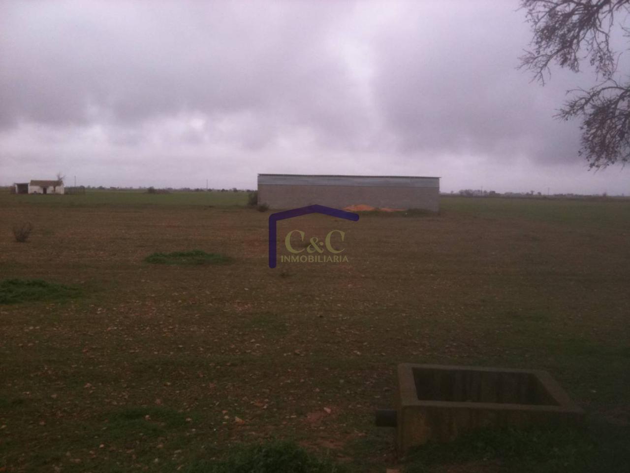 Venta de terreno en Manzanares