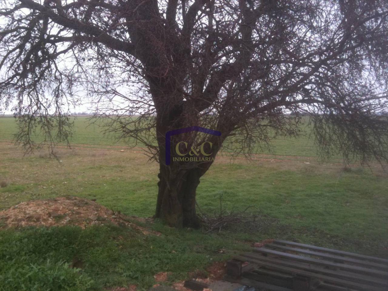 Venta de terreno en Manzanares