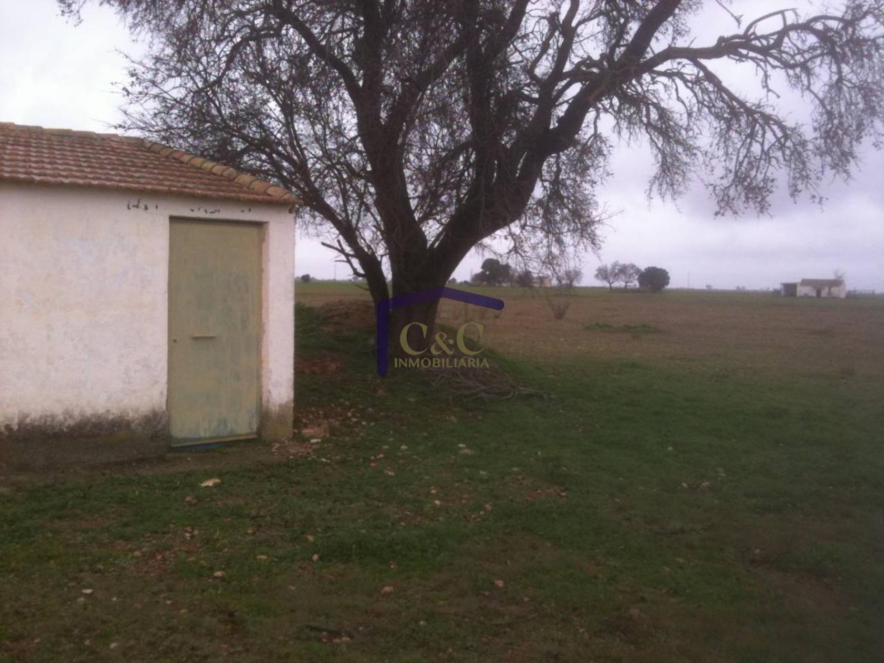 Venta de terreno en Manzanares
