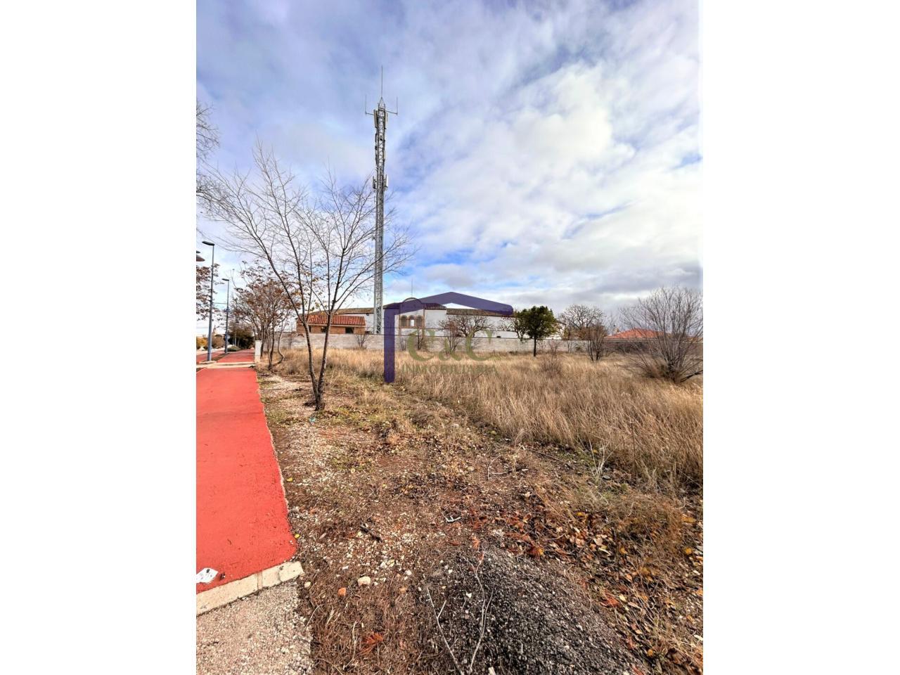 For sale of land in Manzanares