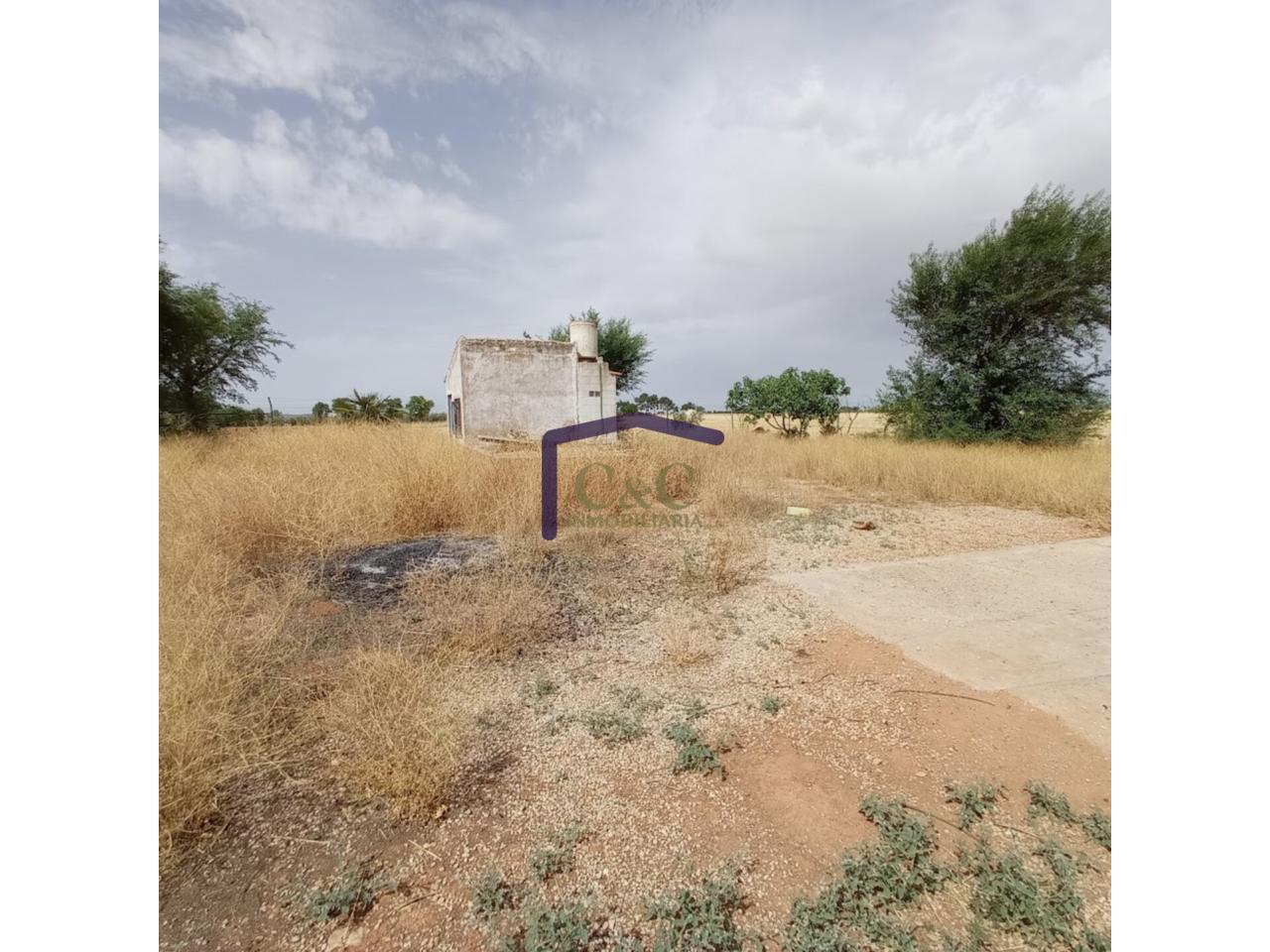 For sale of land in Manzanares