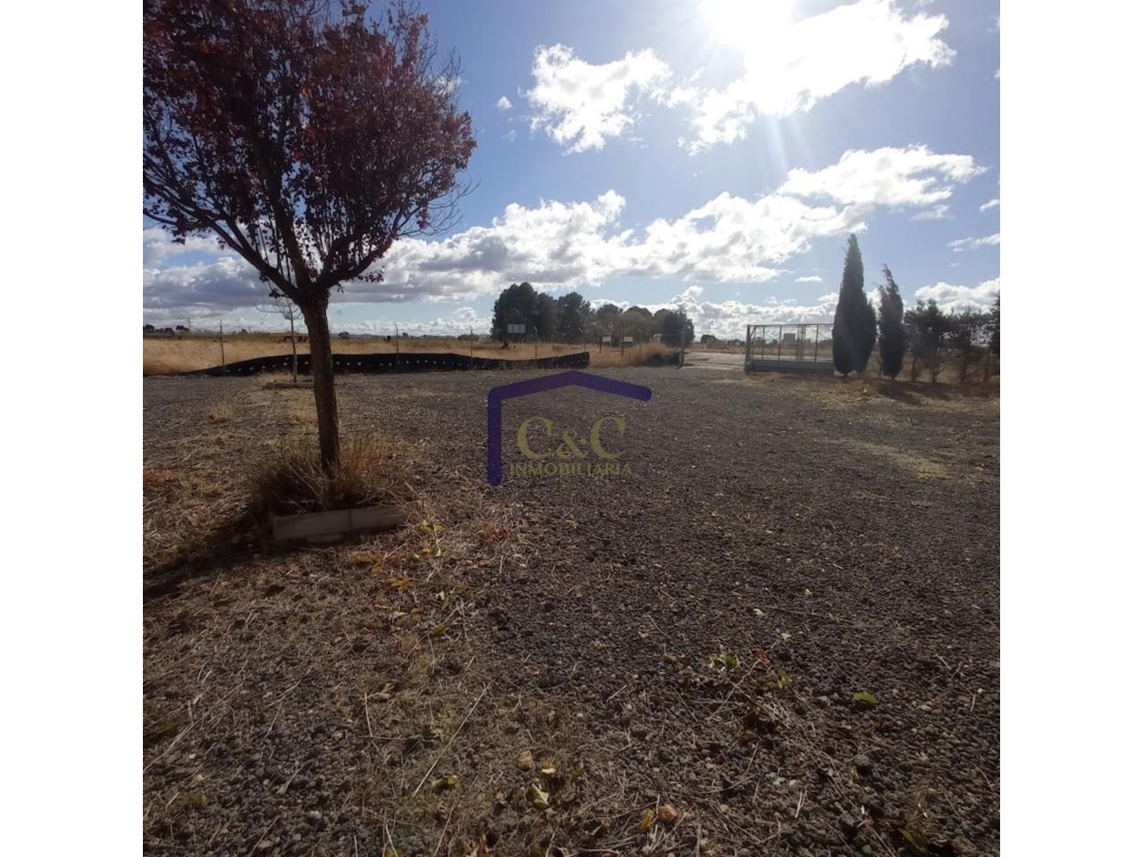 Venta de finca rústica en Manzanares