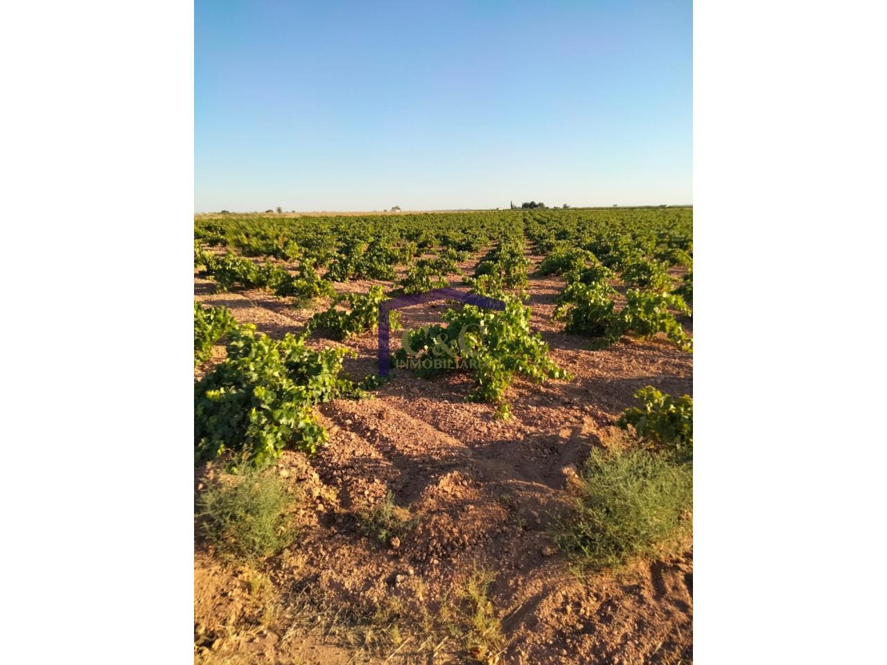 Venta de finca rústica en Manzanares