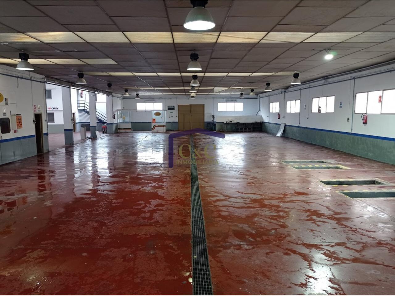 For sale of industrial plant/warehouse in Manzanares