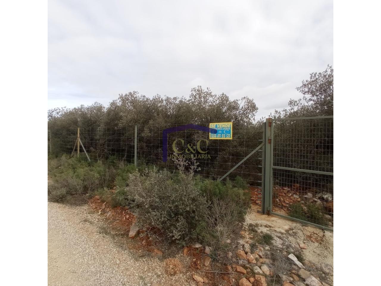 Venta de finca rústica en Manzanares
