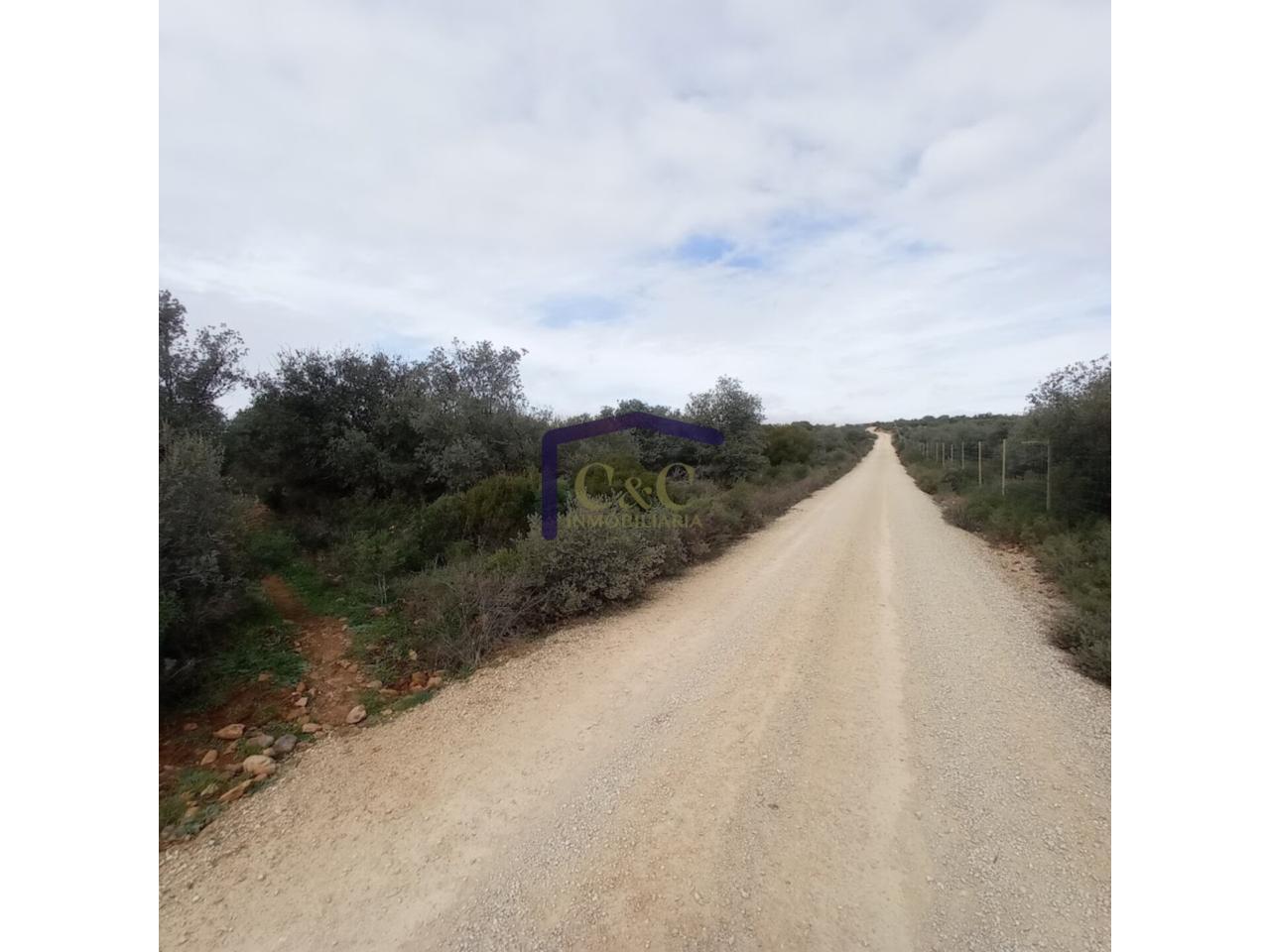 Venta de finca rústica en Manzanares