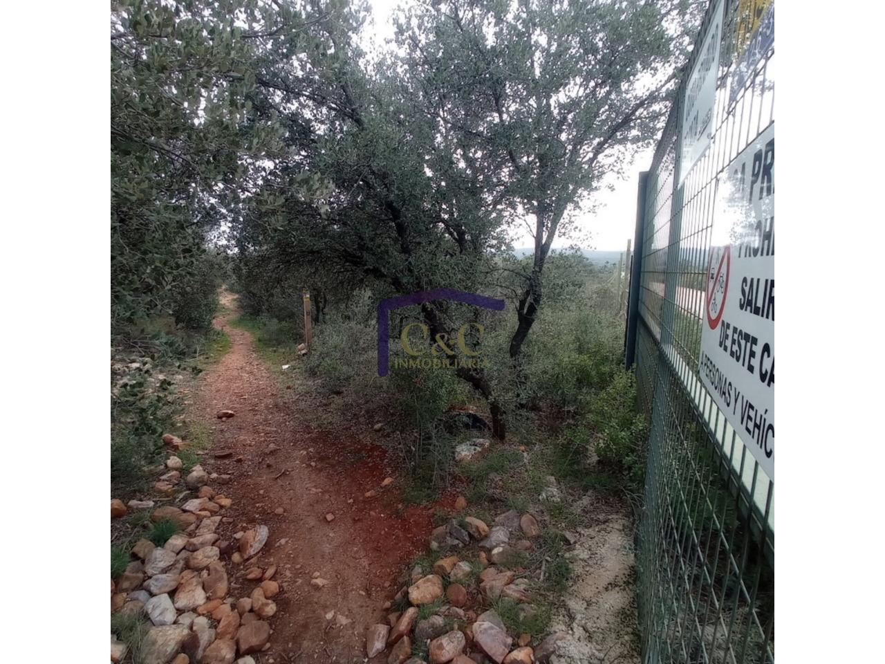 Venta de finca rústica en Manzanares