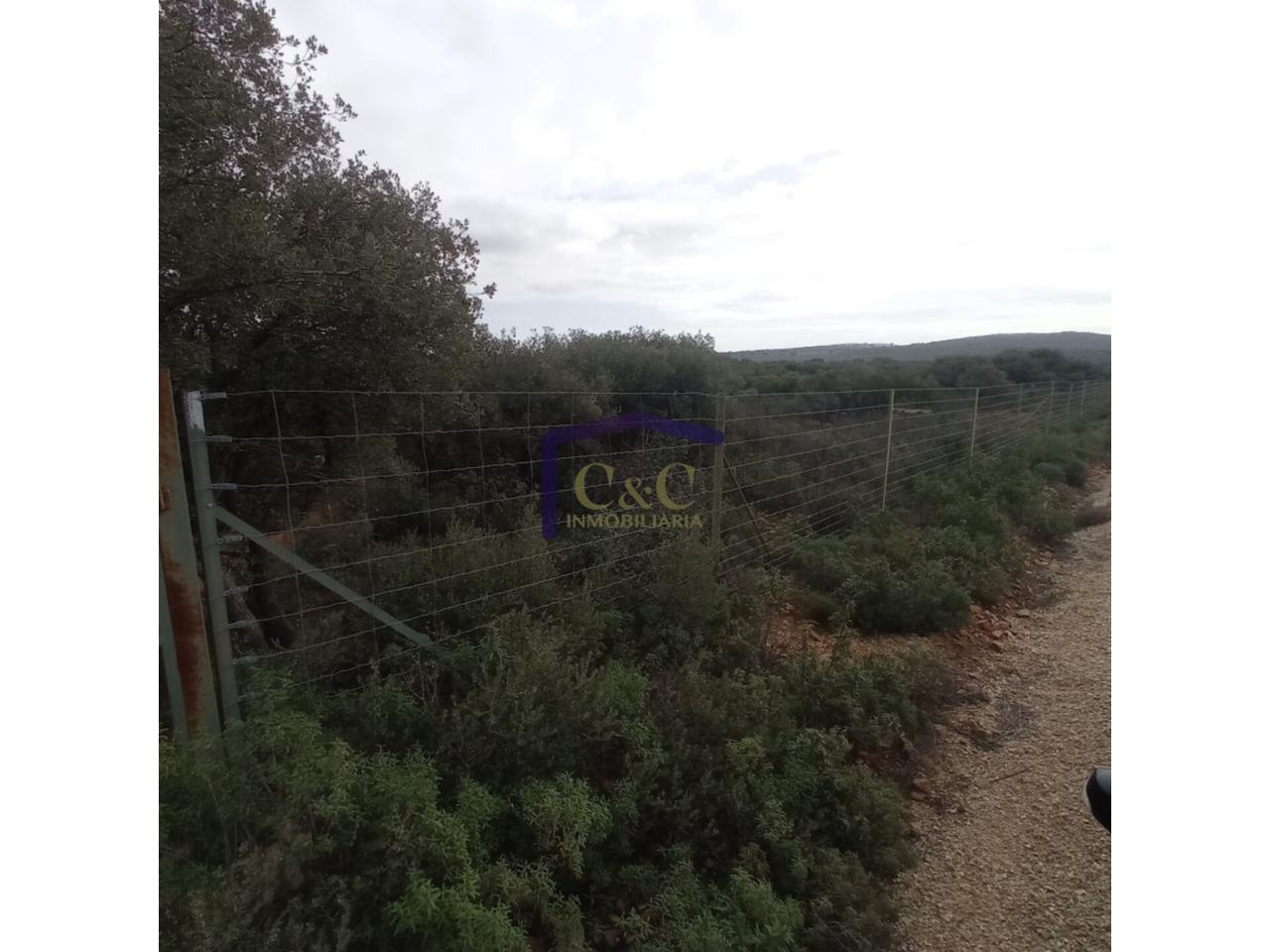 Venta de finca rústica en Manzanares