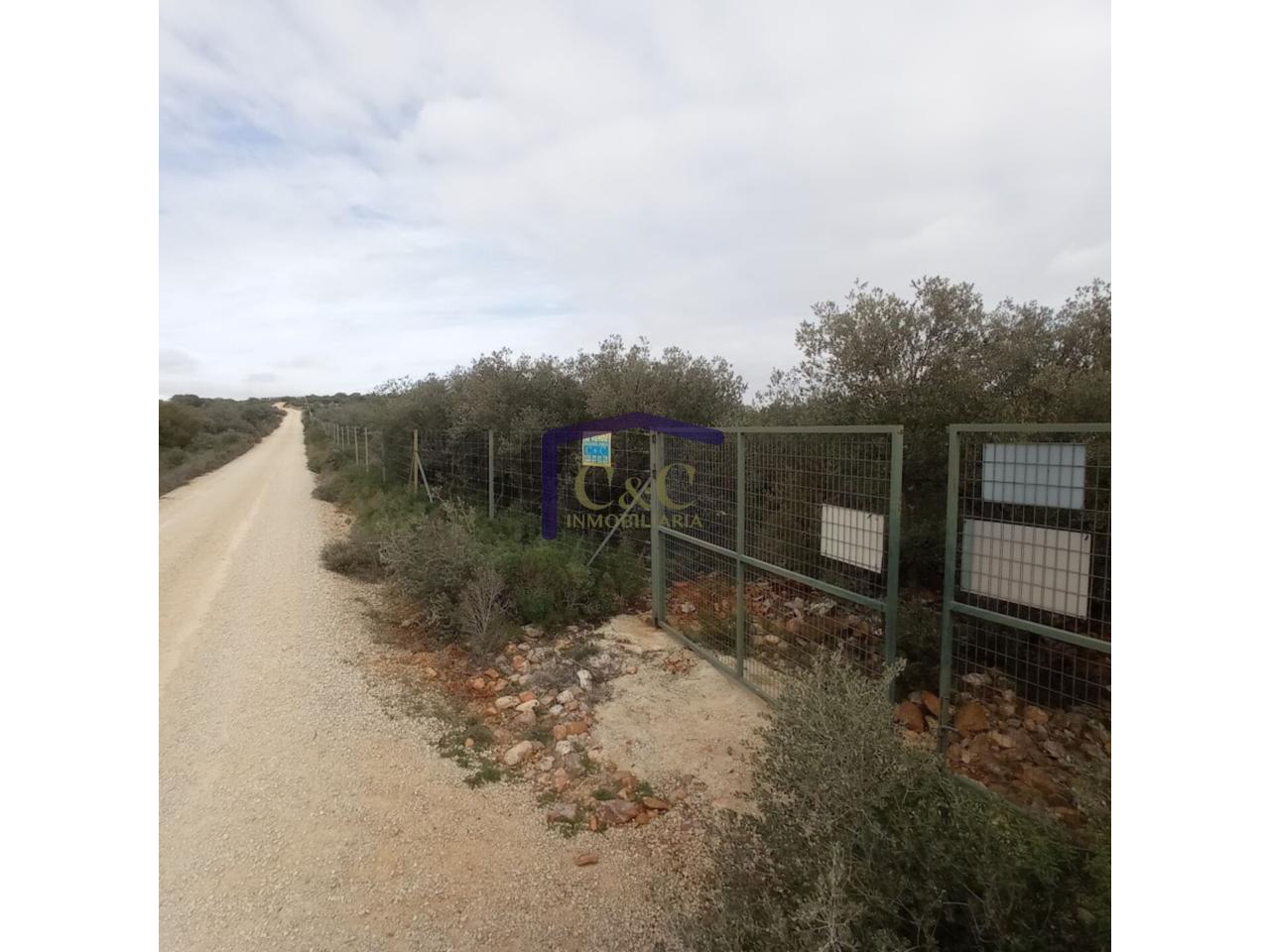 Venta de finca rústica en Manzanares