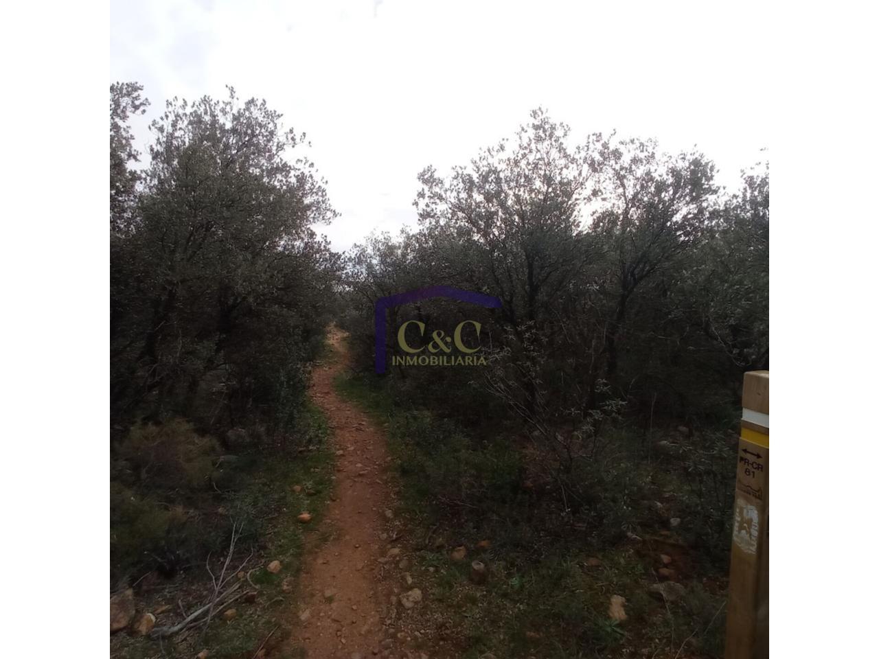 Venta de finca rústica en Manzanares