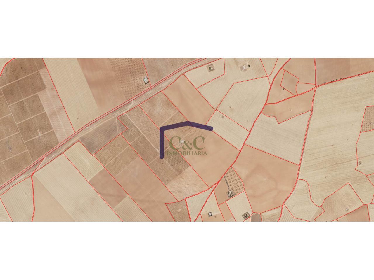 Venta de finca rústica en Manzanares