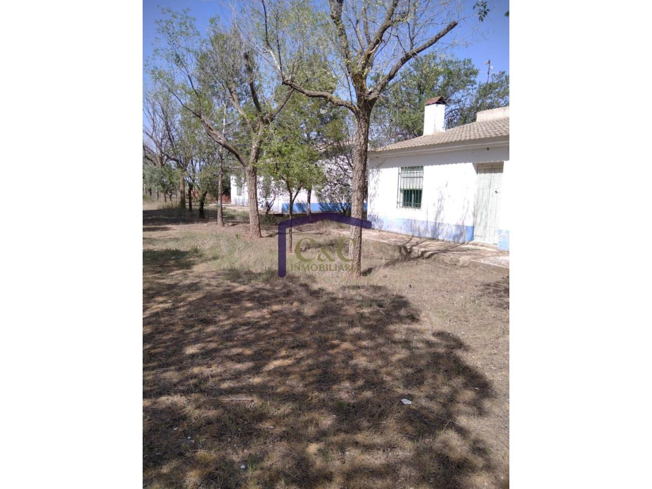 Venta de finca rústica en Manzanares