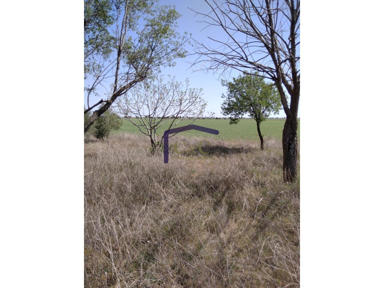 Venta de finca rústica en Manzanares