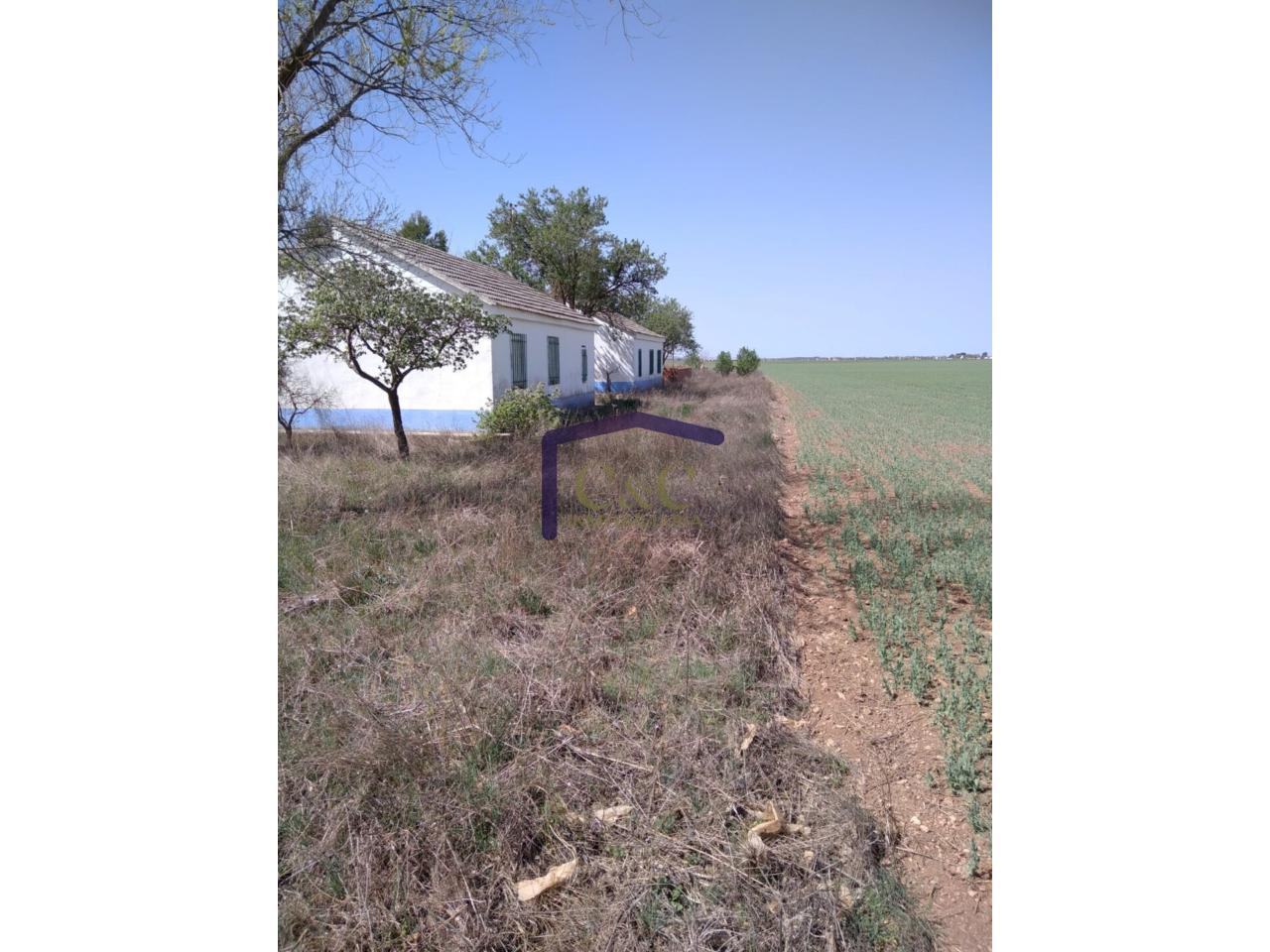 Venta de finca rústica en Manzanares