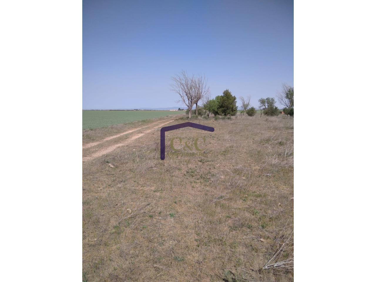 Venta de finca rústica en Manzanares