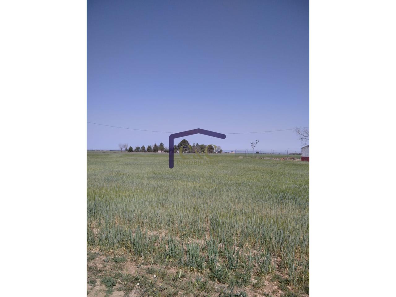 Venta de finca rústica en Manzanares