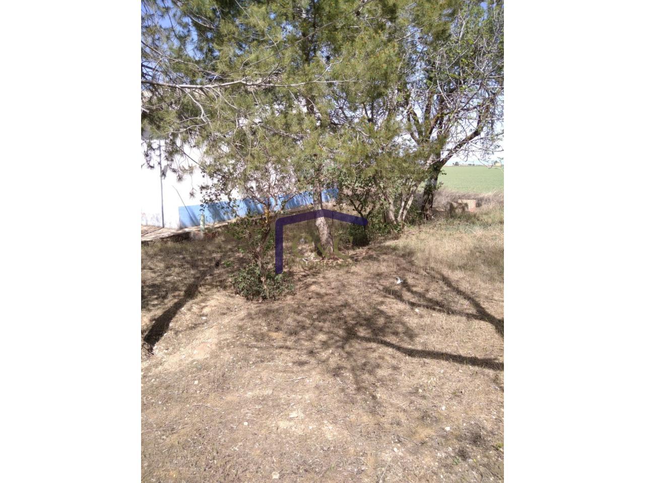 Venta de finca rústica en Manzanares