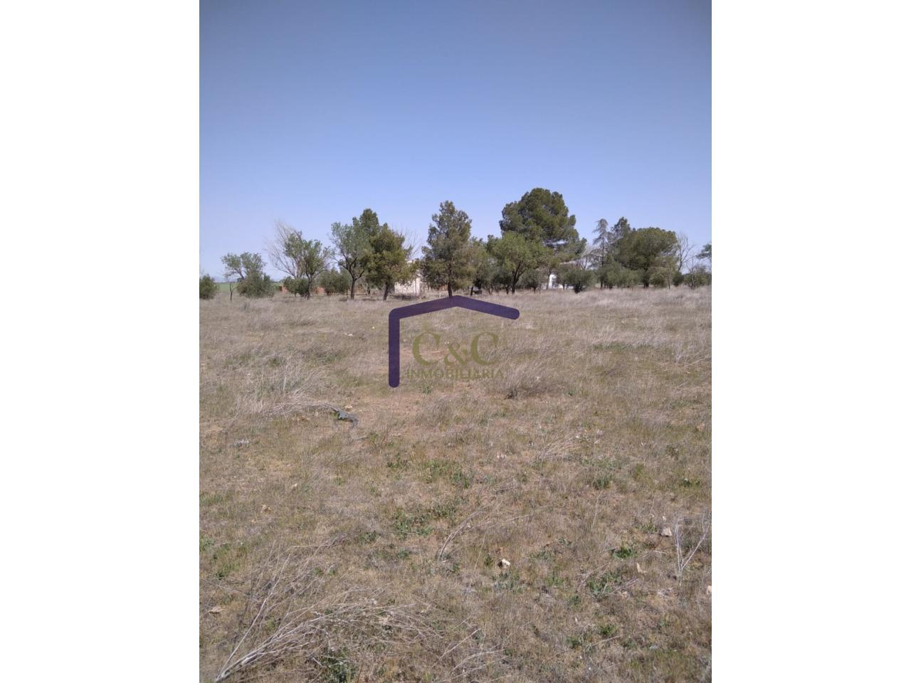 Venta de finca rústica en Manzanares