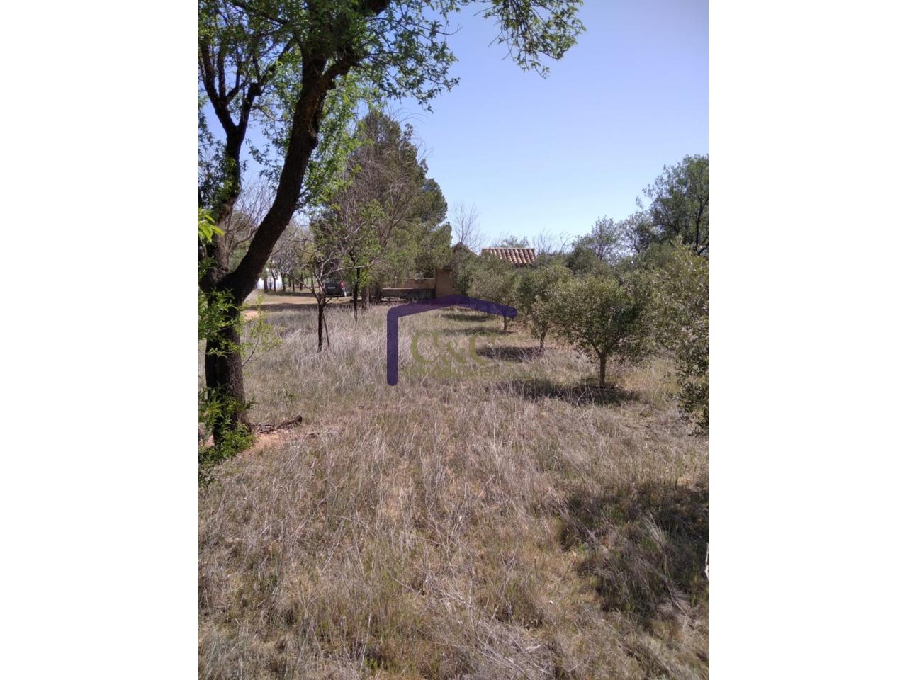Venta de finca rústica en Manzanares
