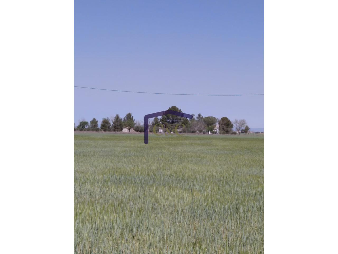 Venta de finca rústica en Manzanares