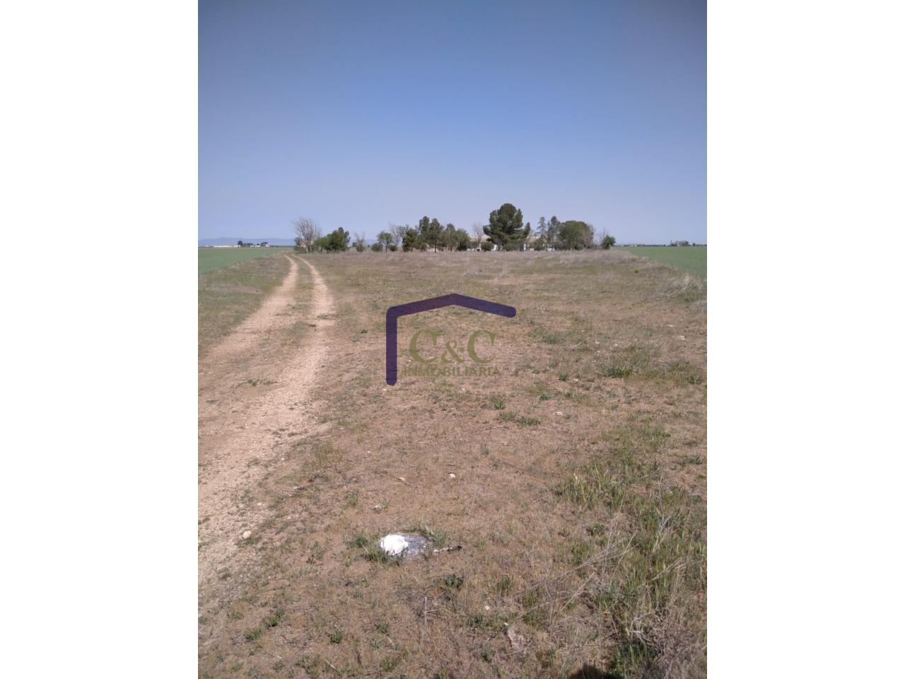 Venta de finca rústica en Manzanares