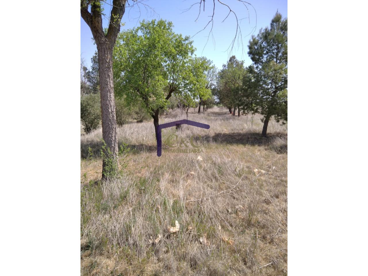 Venta de finca rústica en Manzanares
