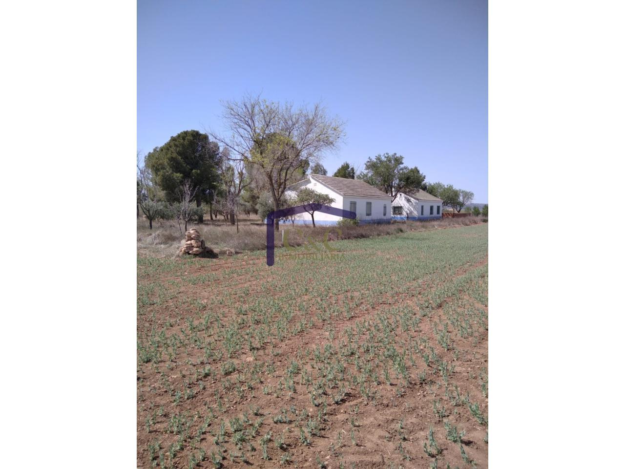 Venta de finca rústica en Manzanares