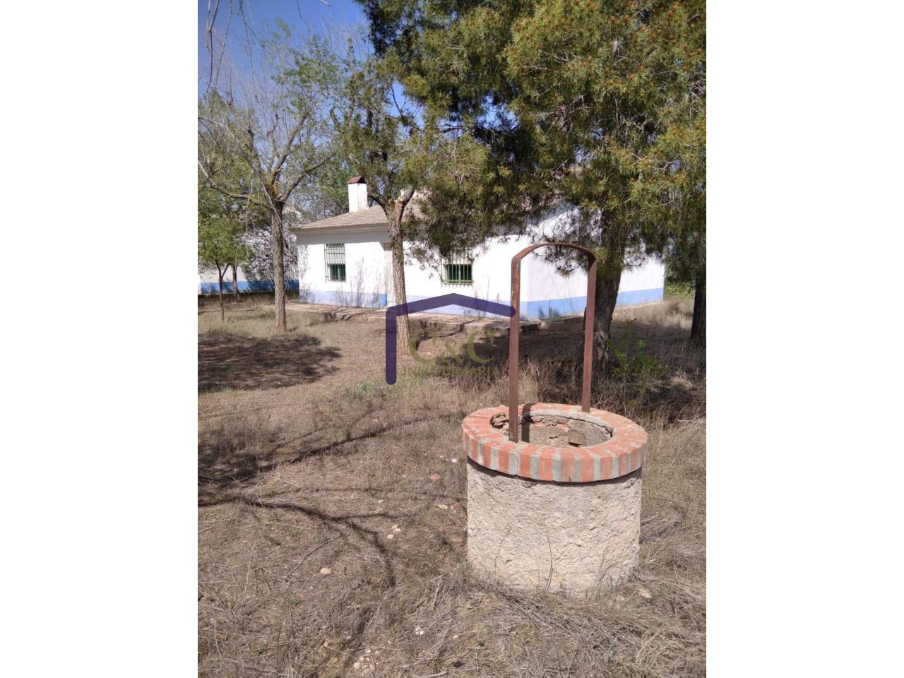 Venta de finca rústica en Manzanares
