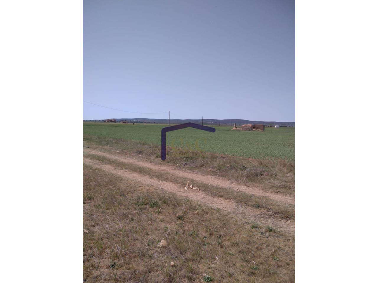 Venta de finca rústica en Manzanares