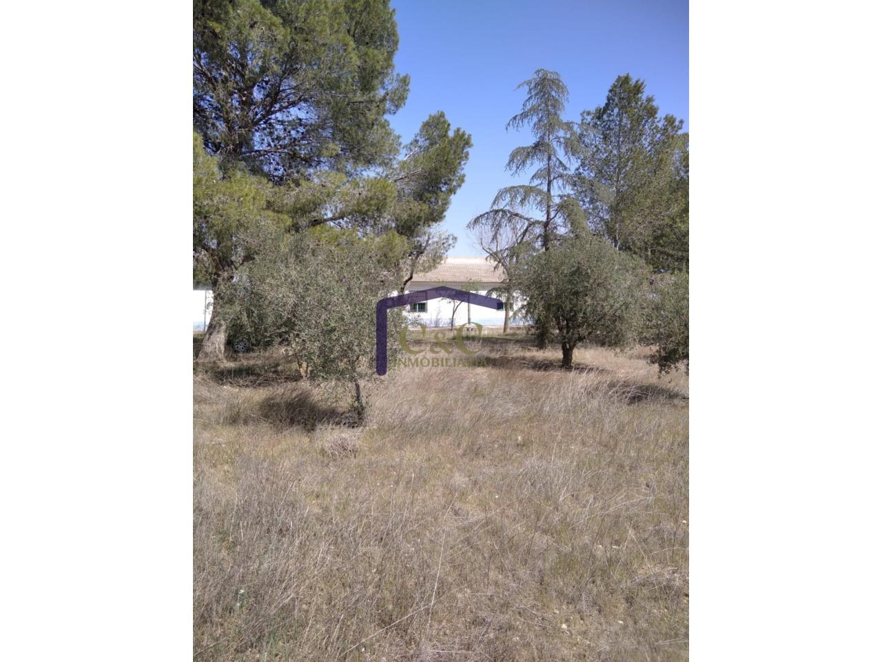 Venta de finca rústica en Manzanares