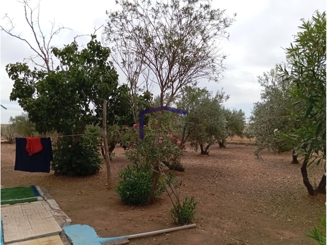 Jardín