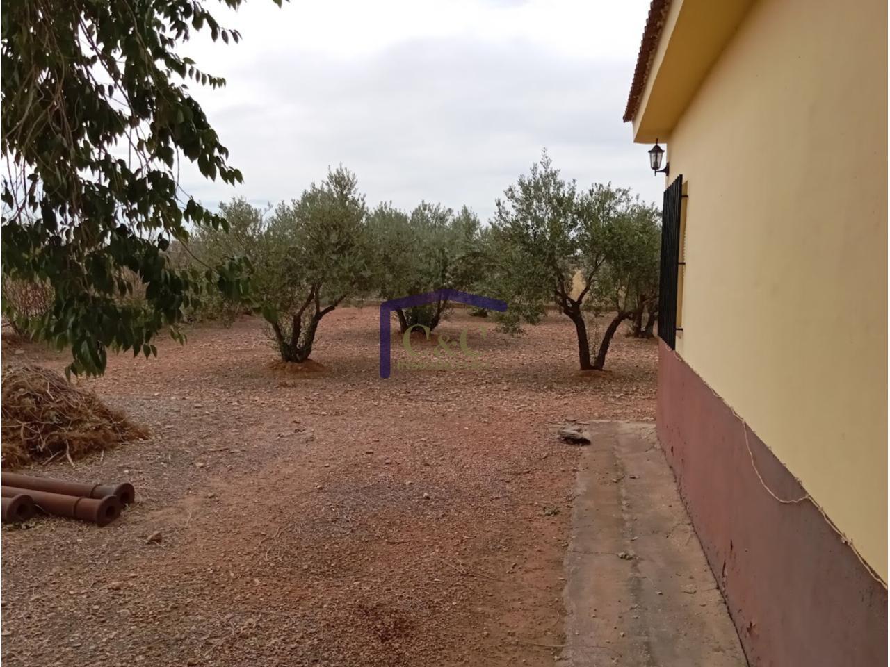 Alrededores
