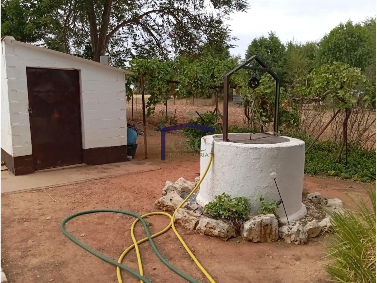Jardín