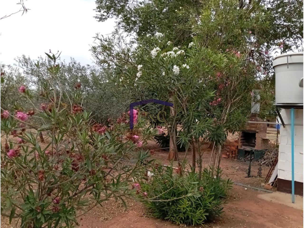 Alrededores