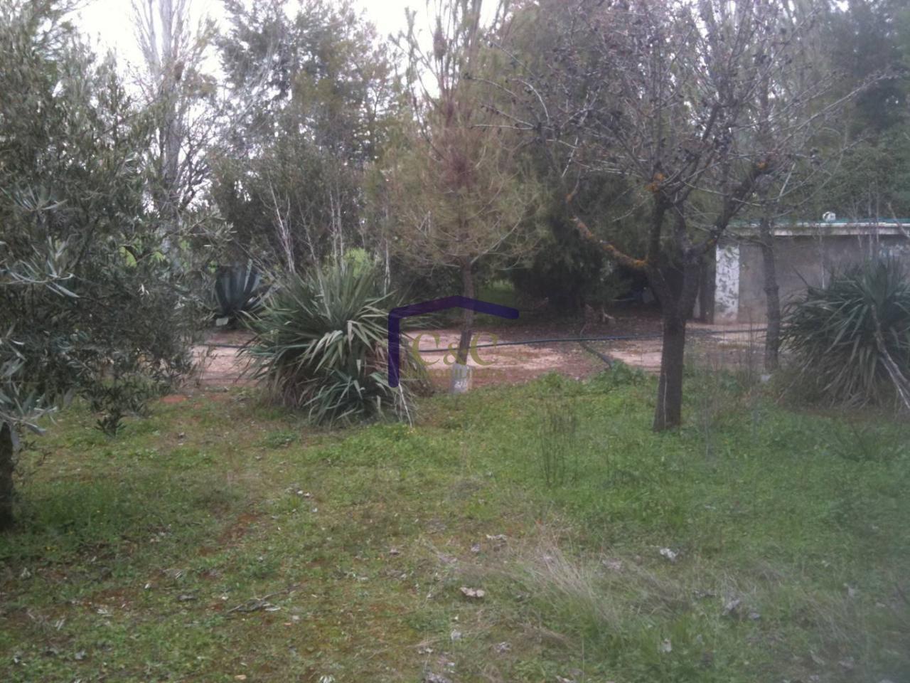 For sale of house in Manzanares