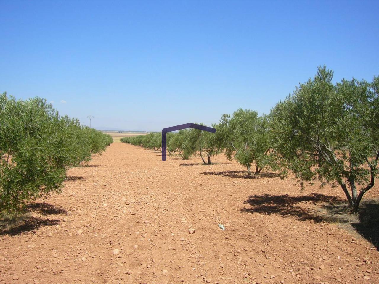 Venta de finca rústica en Manzanares