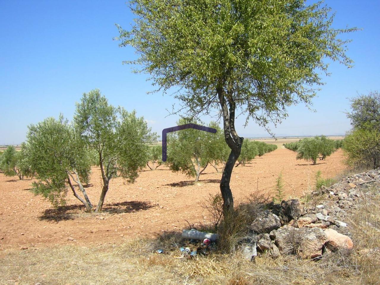 Venta de finca rústica en Manzanares