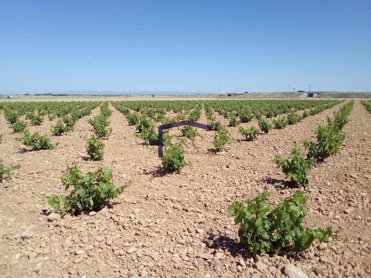 For sale of rural property in Manzanares