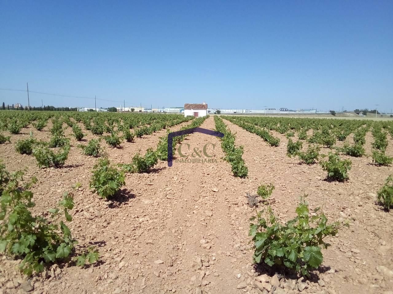 For sale of rural property in Manzanares