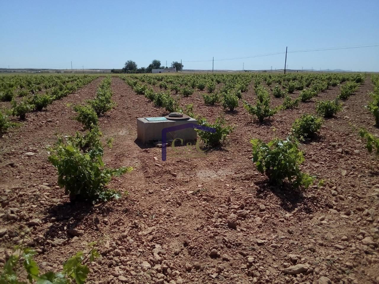 For sale of rural property in Manzanares