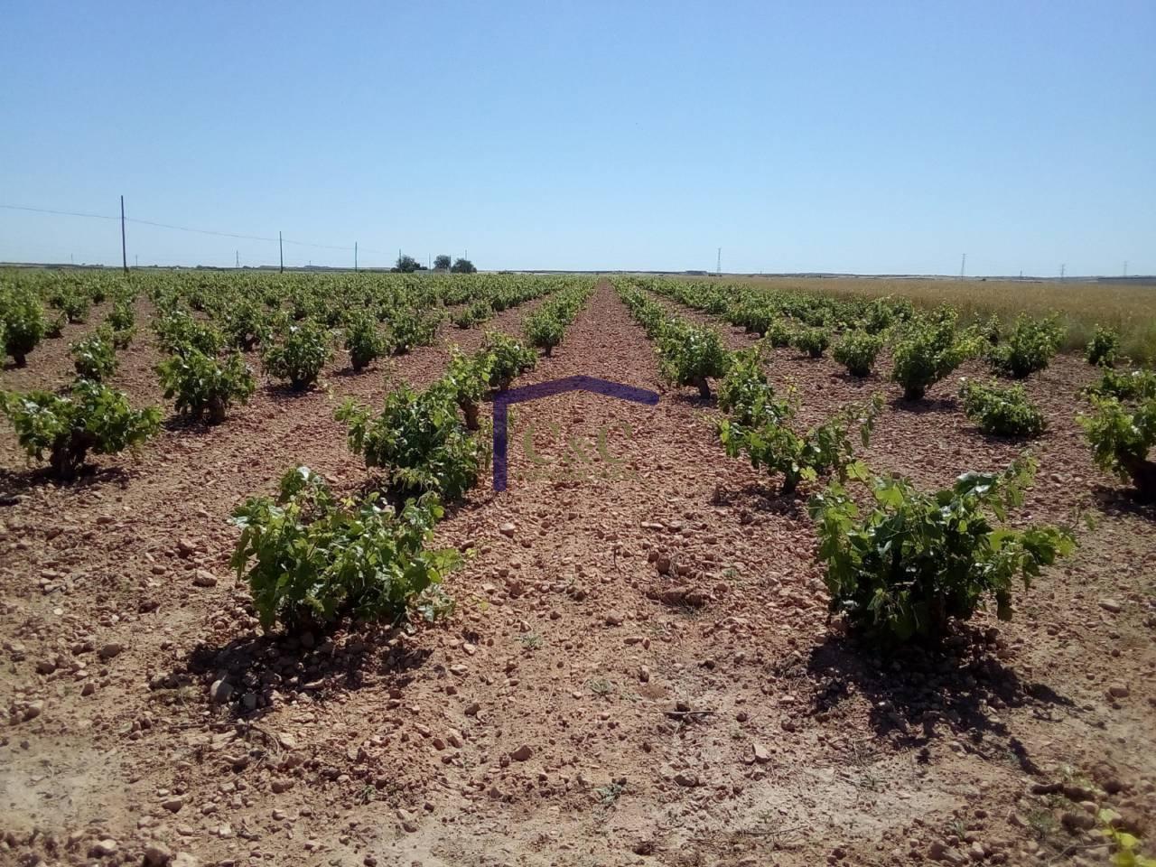 For sale of rural property in Manzanares