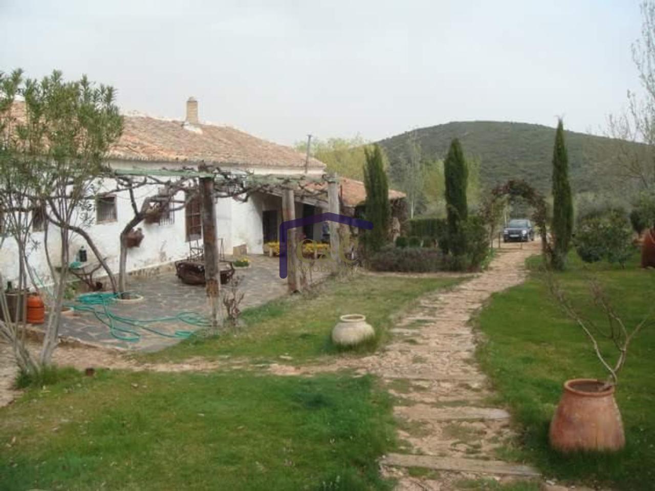 For sale of rural property in Torrenueva