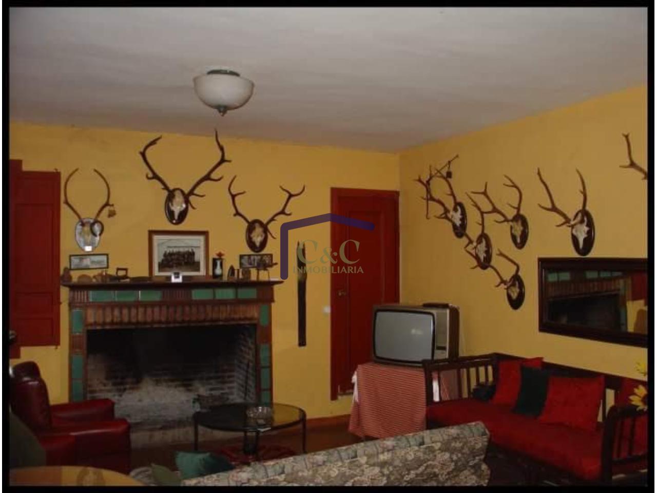 For sale of rural property in Torrenueva