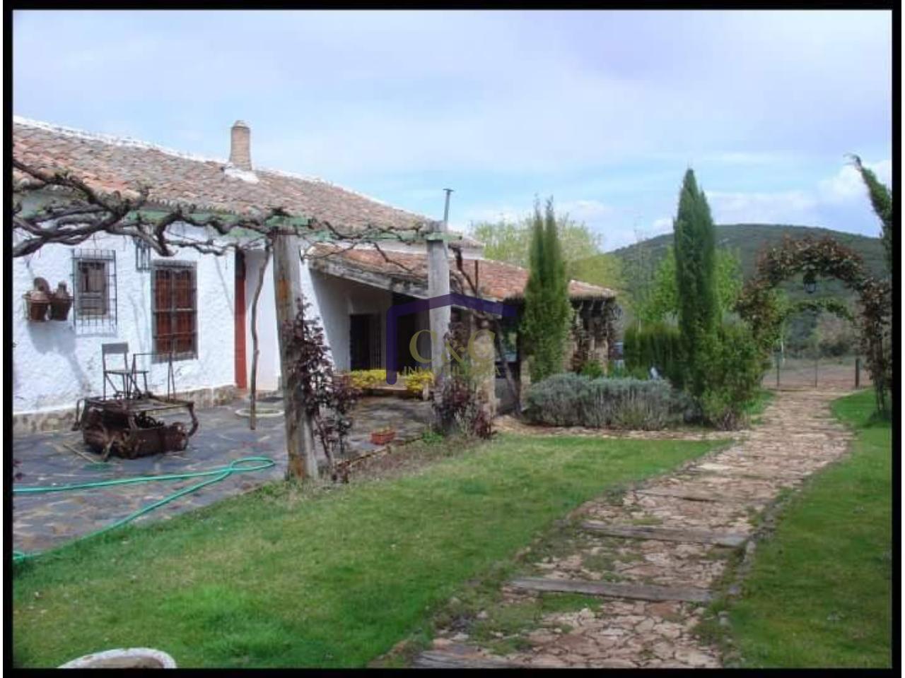 For sale of rural property in Torrenueva