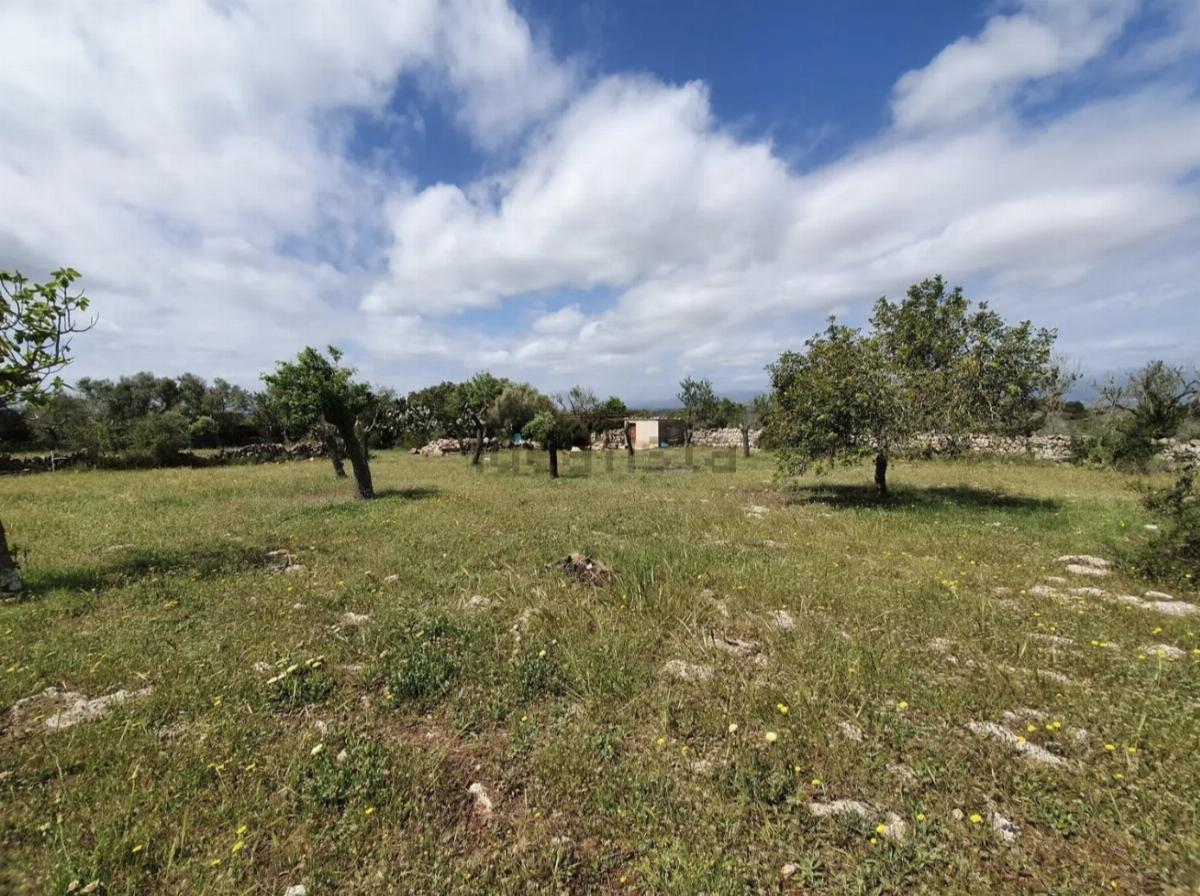 For sale of land in Costitx