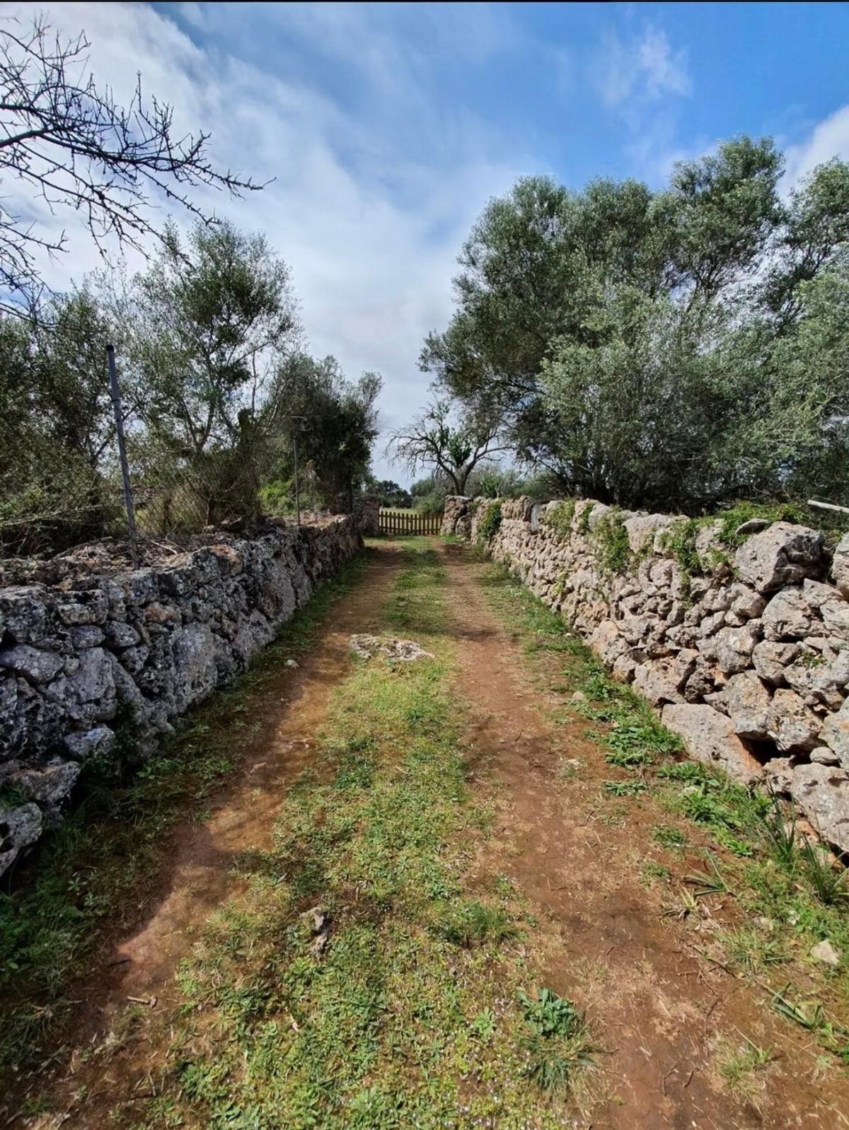 For sale of land in Costitx